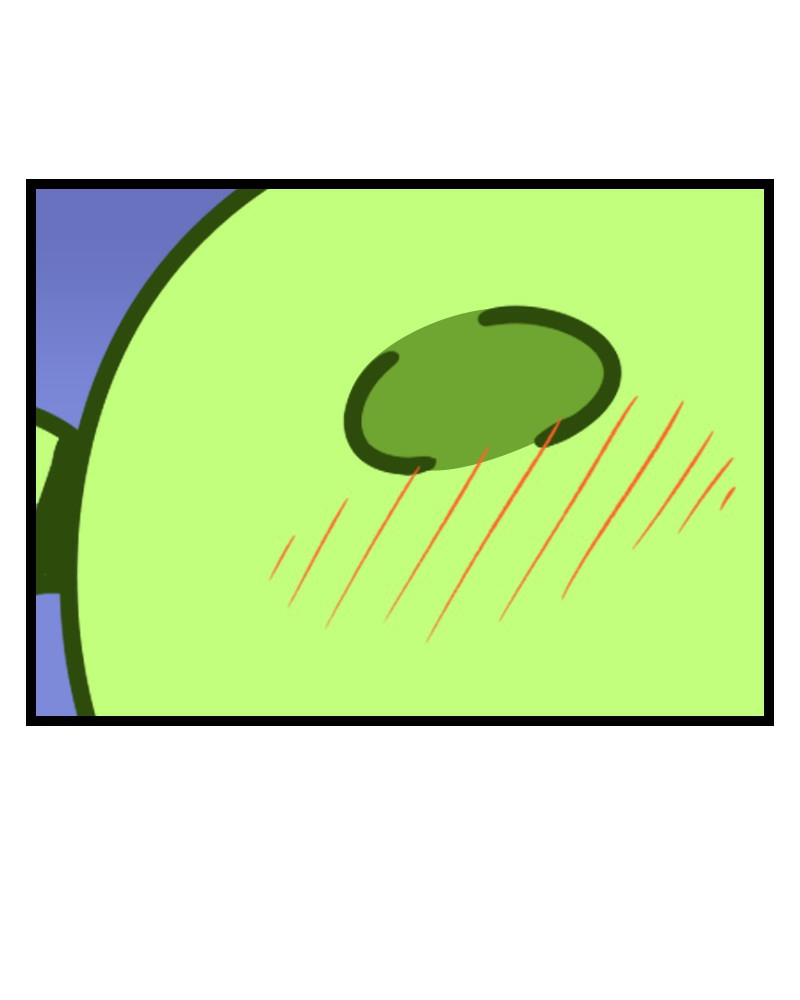Image 1 Uncut